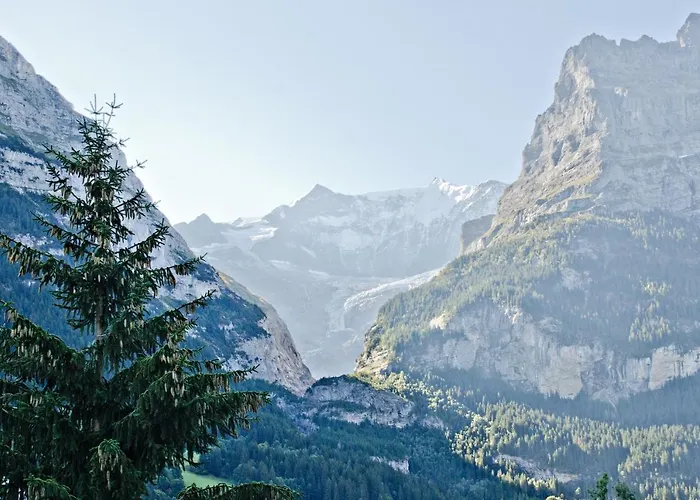 Felix - Griwa Rent Ag *